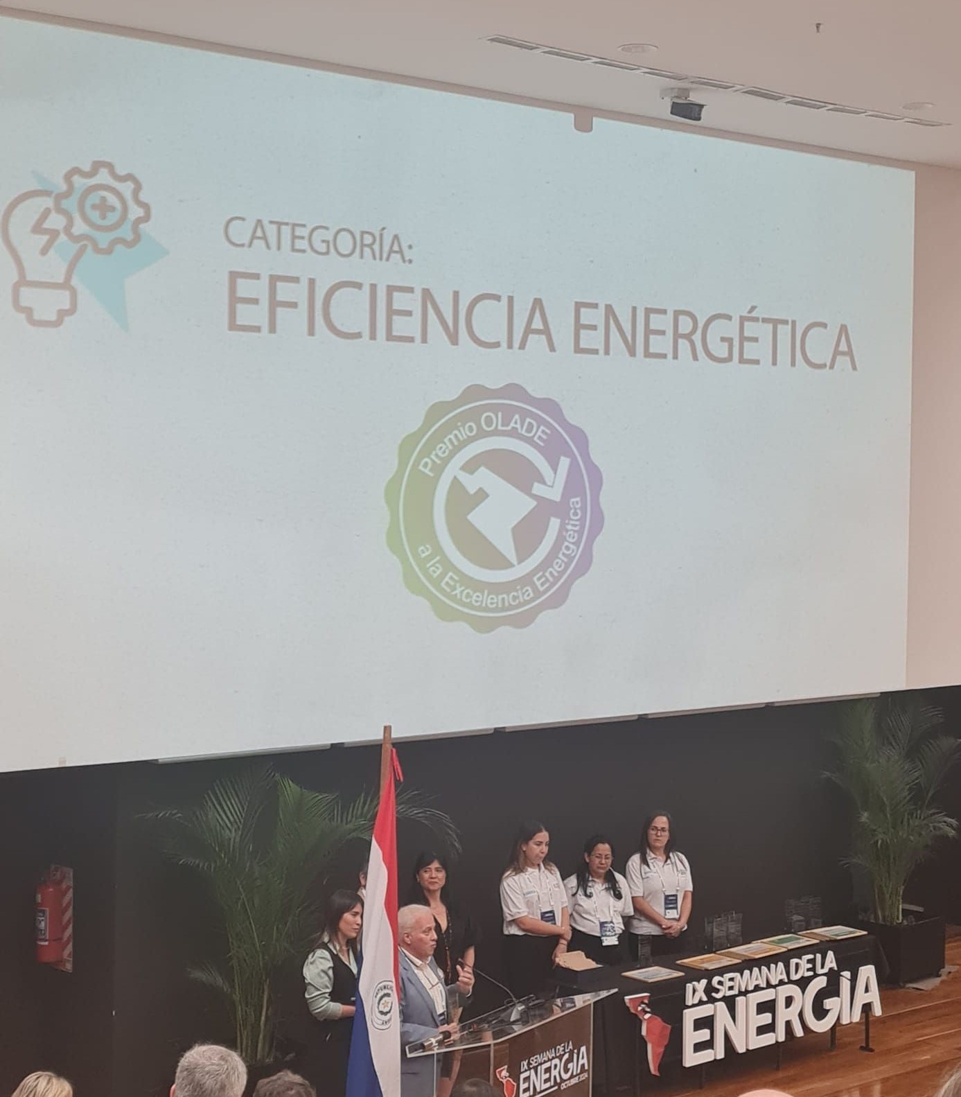 SIN PAR fue galardonada con el Premio OLADE a la Excelencia Energética en la categoría PYME